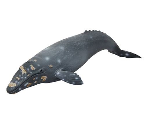 Maia and Borges 482903 gray whale 27 cm series sea animals