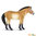 Safari Ltd 153505 Przewalski Pferd 12 cm Serie Pferdewelt