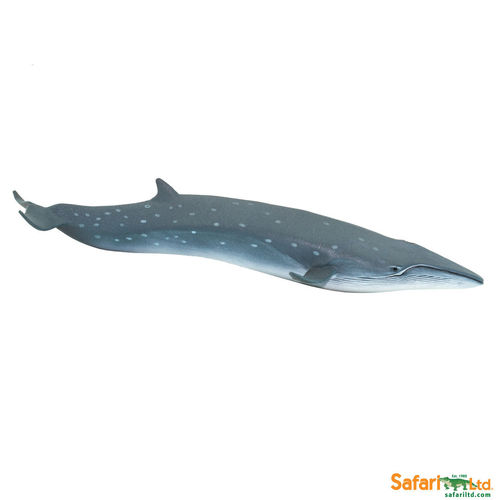 Safari Ltd 100098 Seiwal 20 cm Unglaubliche Kreaturen Wassertiere