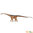 Safari Ltd 305829 Malawisaurus 35 cm Serie Dinosaurier