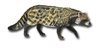 Collecta 88824 african civet 9 cm Wild Animals