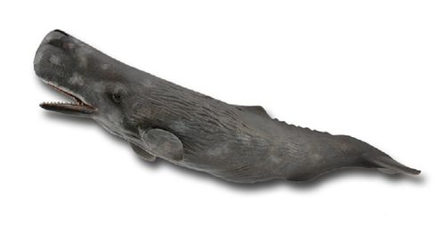 Collecta 88835 sperm whale (XL) 23 cm Water Animals
