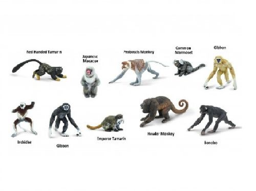 Safari Ltd 100323 Primaten (10 Minifiguren) Tubos-Röhren Themengebiet