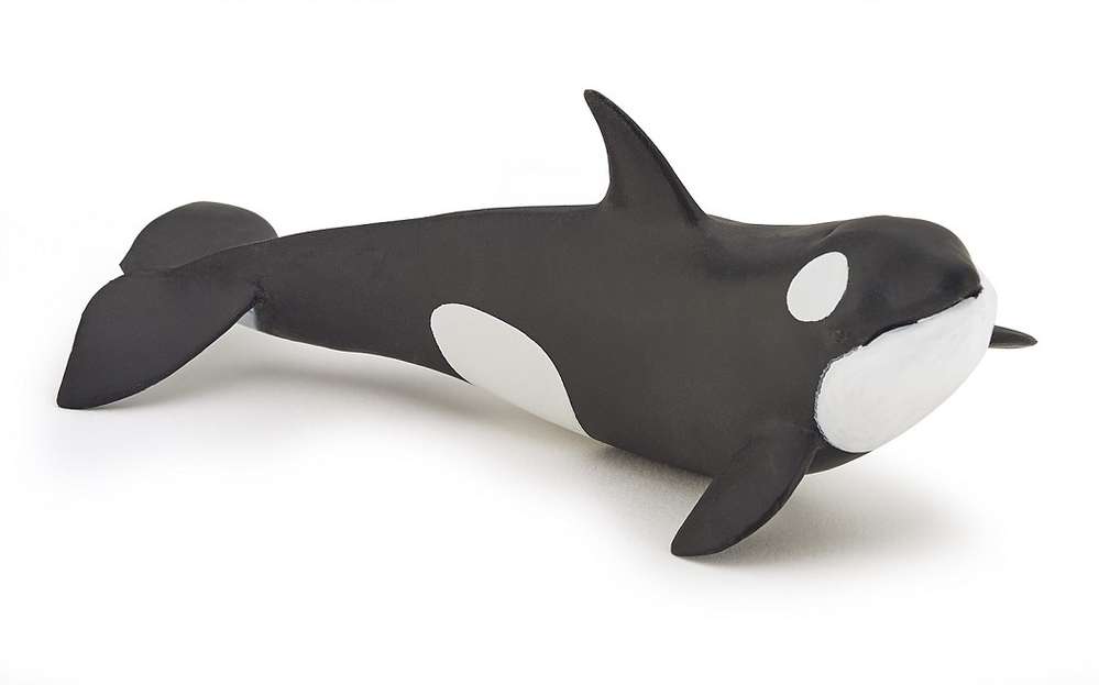 Papo 56040 killer whale calf cm, Water Animals