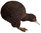 Animals of Australia 75340 Kiwi 5,5 cm Wildtiere