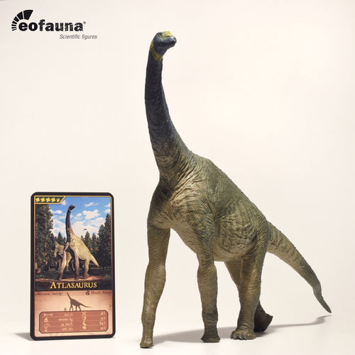 Eofauna FIG 004 Atlasaurus 30 cm Welt der Dinosaurier