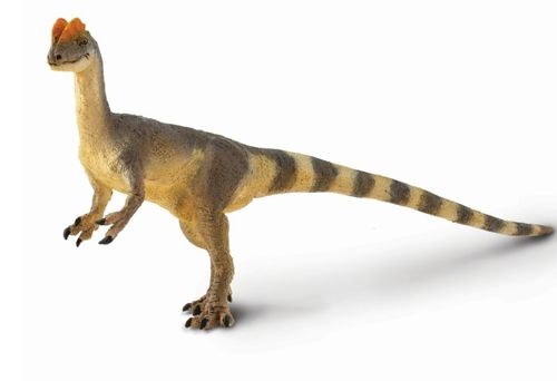 Safari Ltd 100508 Dilophosaurus 17 cm Serie Dinosaurier