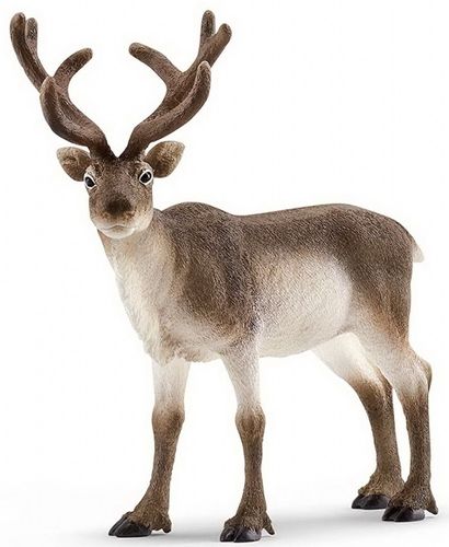 Schleich 14837 reindeer 11 cm Series Wild Animals