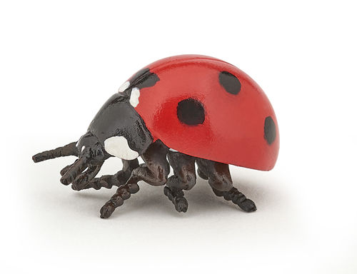 Papo 50257 ladybug cm Wild Animals