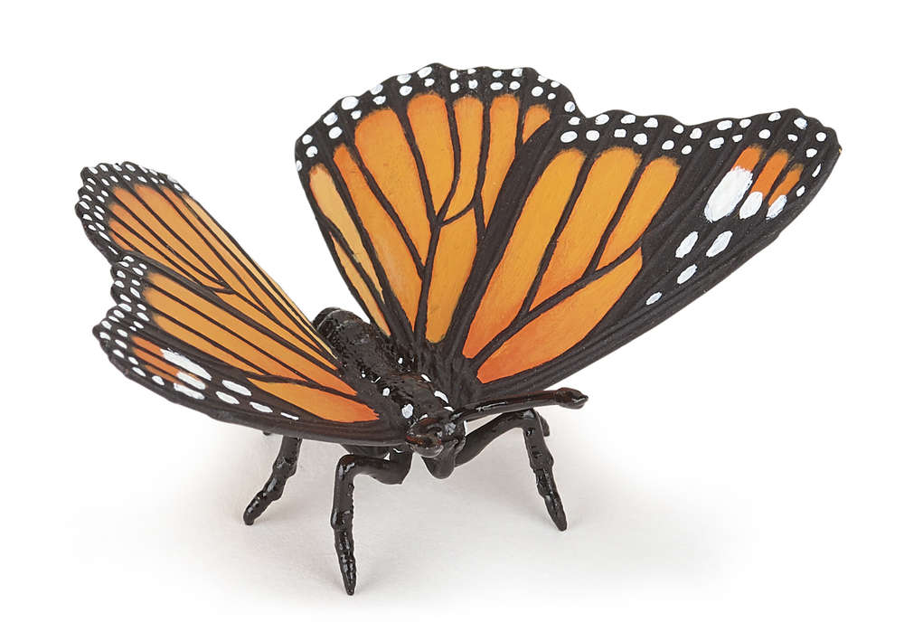 Papo 50260 Schmetterling 7 cm Wildtiere Neuheit 2020 