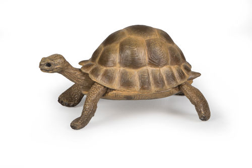 Papo 50264 Hermann's turtle 8 cm Wild Animals