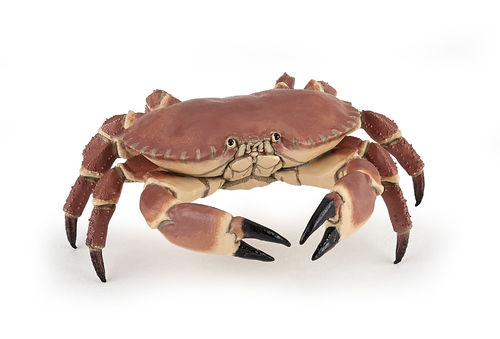 Papo 56047 Krabbe 8 cm Wasserwelt