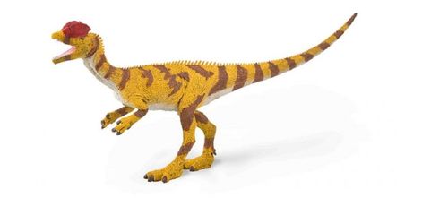 Collecta 88923 Dilophosaurus - 1:40 Scale cm dinosaur
