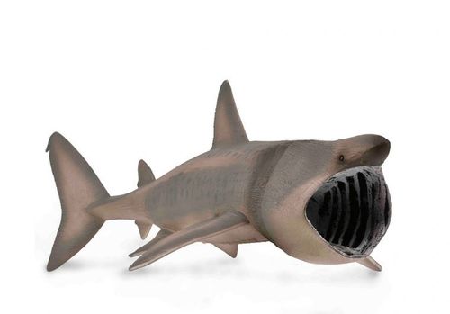 Collecta 88914 basking shark 20 cm aquatic animals