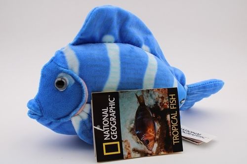 National Geographic NA770792-E Blauer Doktorfisch 23 cm Tierwelt Kuscheltier Plüschtier