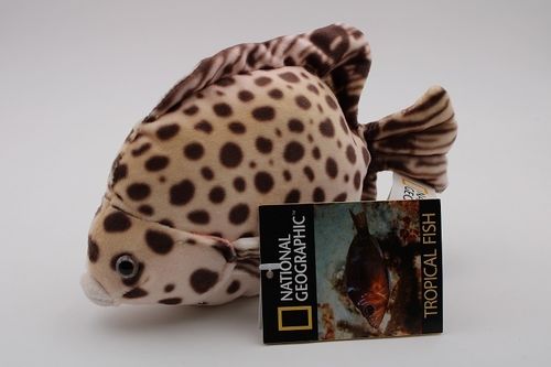 National Geographic NA770792-C Gemeiner Argusfisch 20 cm Tierwelt Kuscheltier Plüschtier