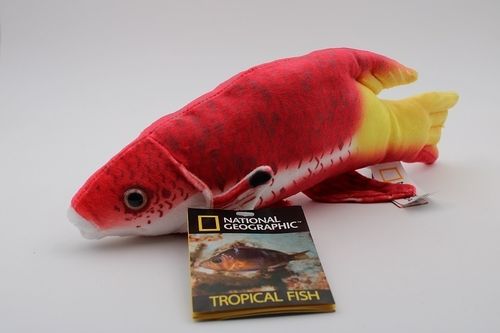 National Geographic NA770792-B Spotfin-Schweinsfisch  28 cm Tierwelt Kuscheltier Plüschtier