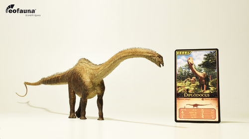 Eofauna FIG-007 Diplodocus 58 cm 1:40 World of dinosaurs