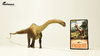 Eofauna FIG 007 Diplodocus 58 cm 1:40 Welt der Dinosaurier