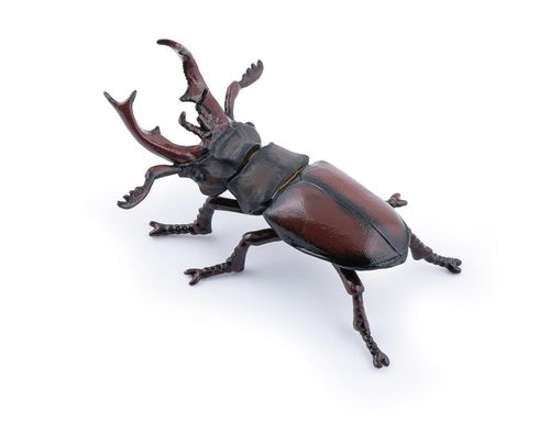 Papo 50281 stag beetle cm wild animals
