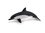 Papo 56055 Gemeiner Delfin 11 cm Wasserwelt