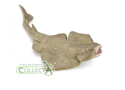 Collecta 88999 Angel Shark 12 cm Aquatic Animals