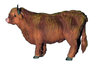 Bullyland 62445 Schottisches Hochlandrind 10 cm Bauernhoftiere