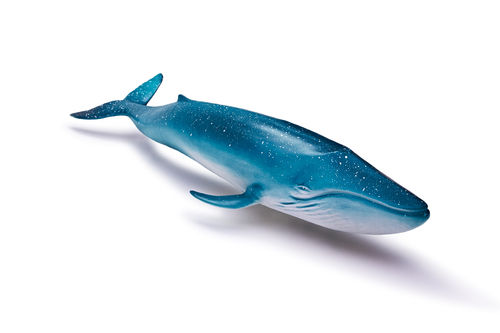 Recur RC16095S blue whale 36 cm soft water world