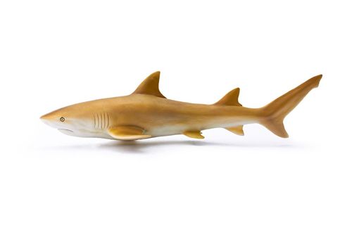 Recur RC16093S lemon shark 17 cm soft water world