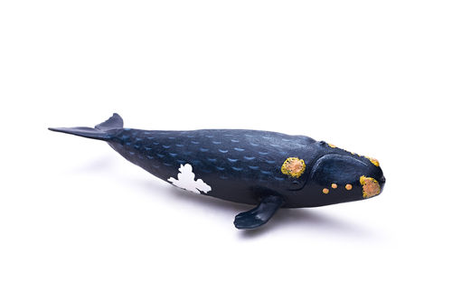 Recur RC16106S North Pacific Right Whale 31 cm soft water world